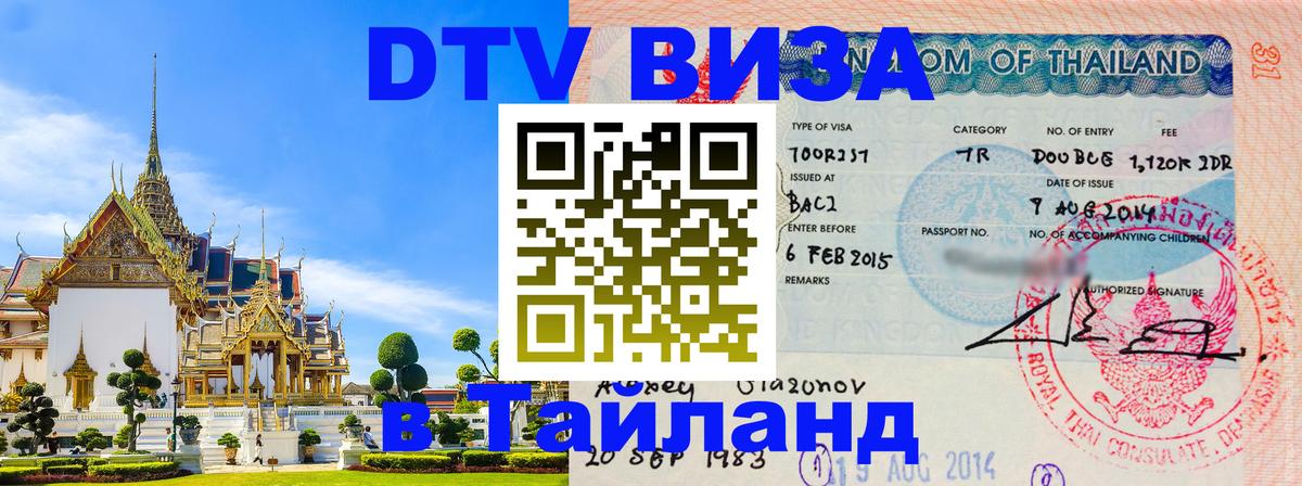 Сколько стоит DTV виза — актуальные цены, оформление даже без документов - Вологда 